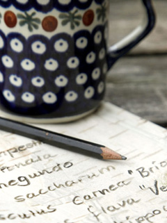 bio-baumschule-notizen